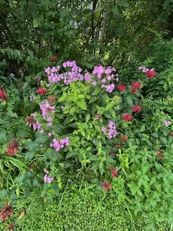 73 Pauls Square East Montpelier VT 05651