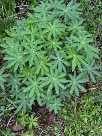 73 Pauls Square East Montpelier VT 05651