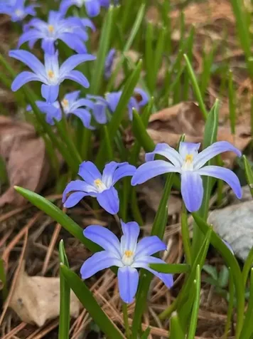 73 Pauls Square East Montpelier VT 05651