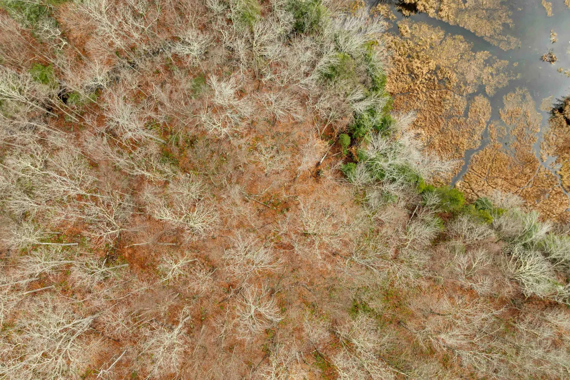 Lot 7 Rod And Gun Club Road Ludlow VT 05149