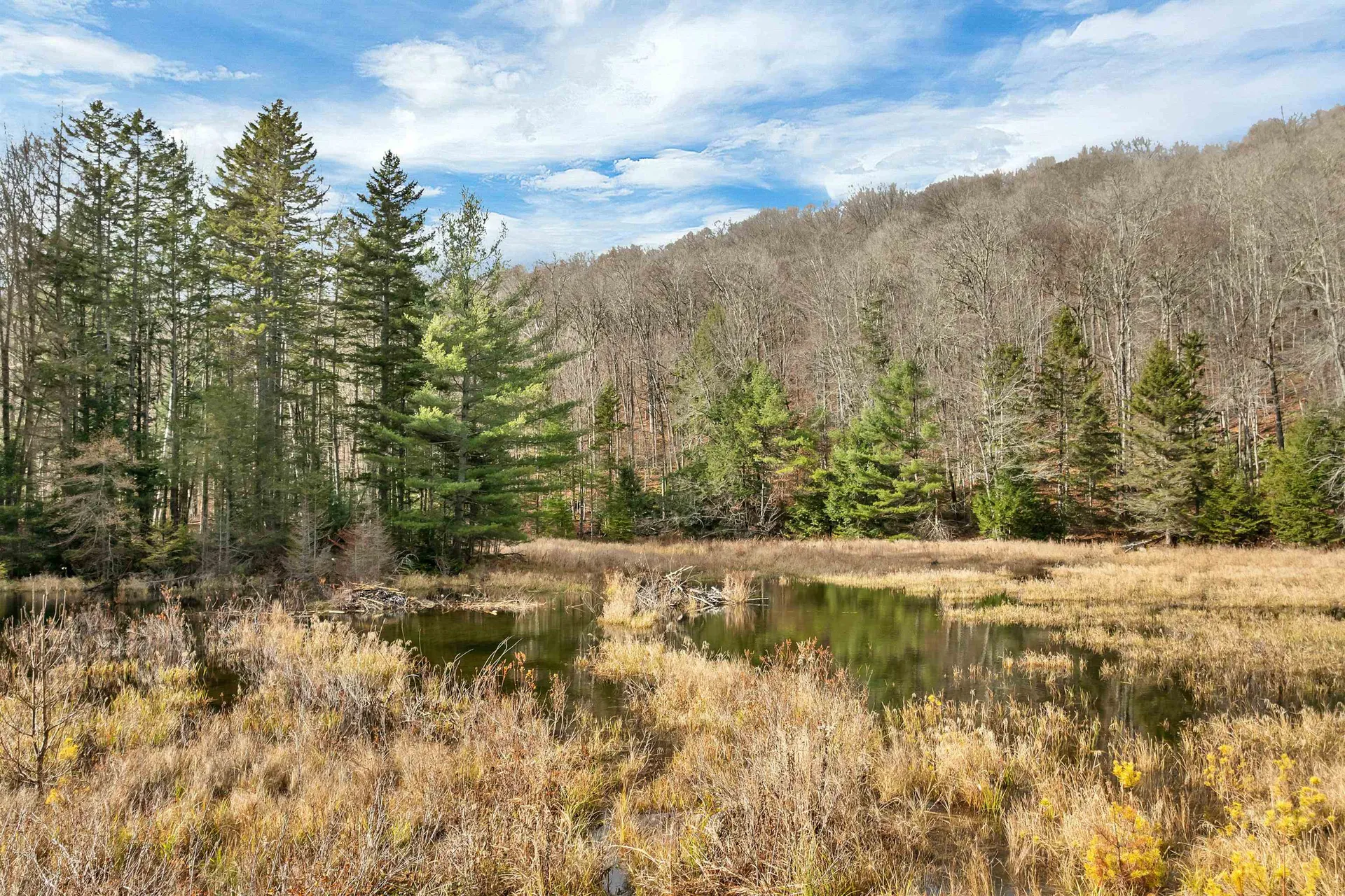 Lot 7 Rod And Gun Club Road Ludlow VT 05149