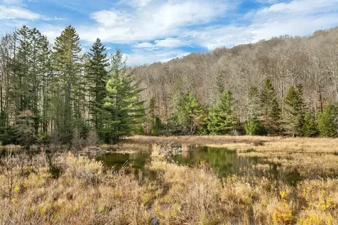 Lot 7 Rod And Gun Club Road Ludlow VT 05149