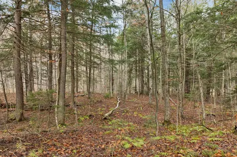 Lot 7 Rod And Gun Club Road Ludlow VT 05149