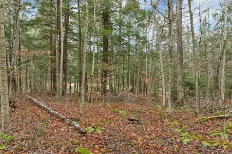 Lot 7 Rod And Gun Club Road Ludlow VT 05149