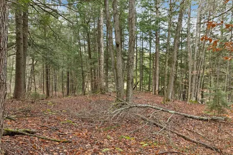 Lot 7 Rod And Gun Club Road Ludlow VT 05149