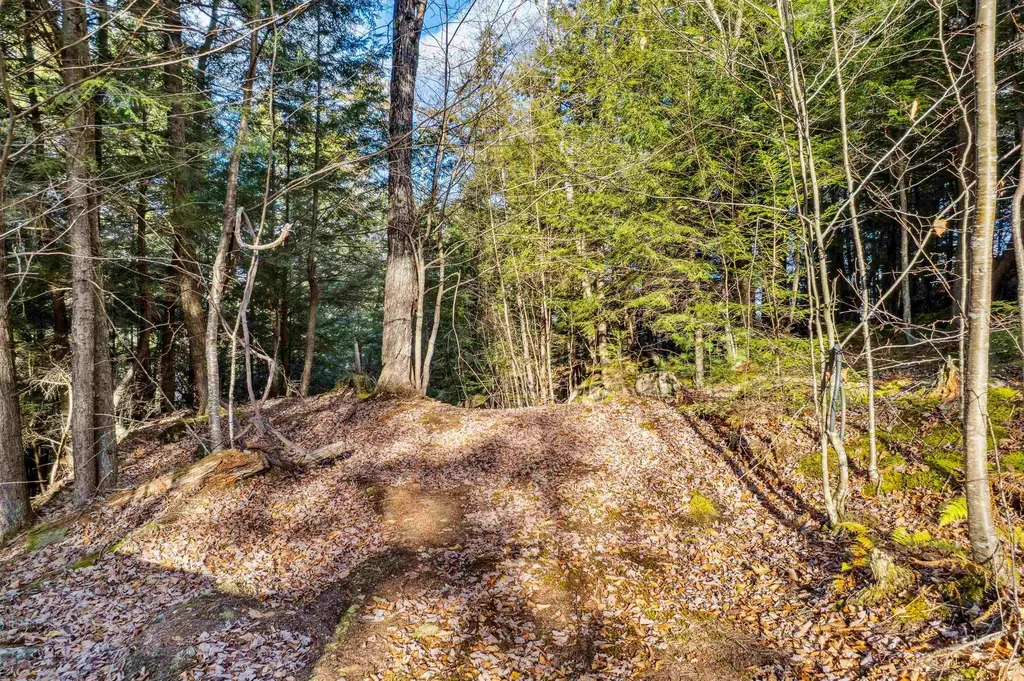 664 Spencer Hollow Road Springfield VT 05156