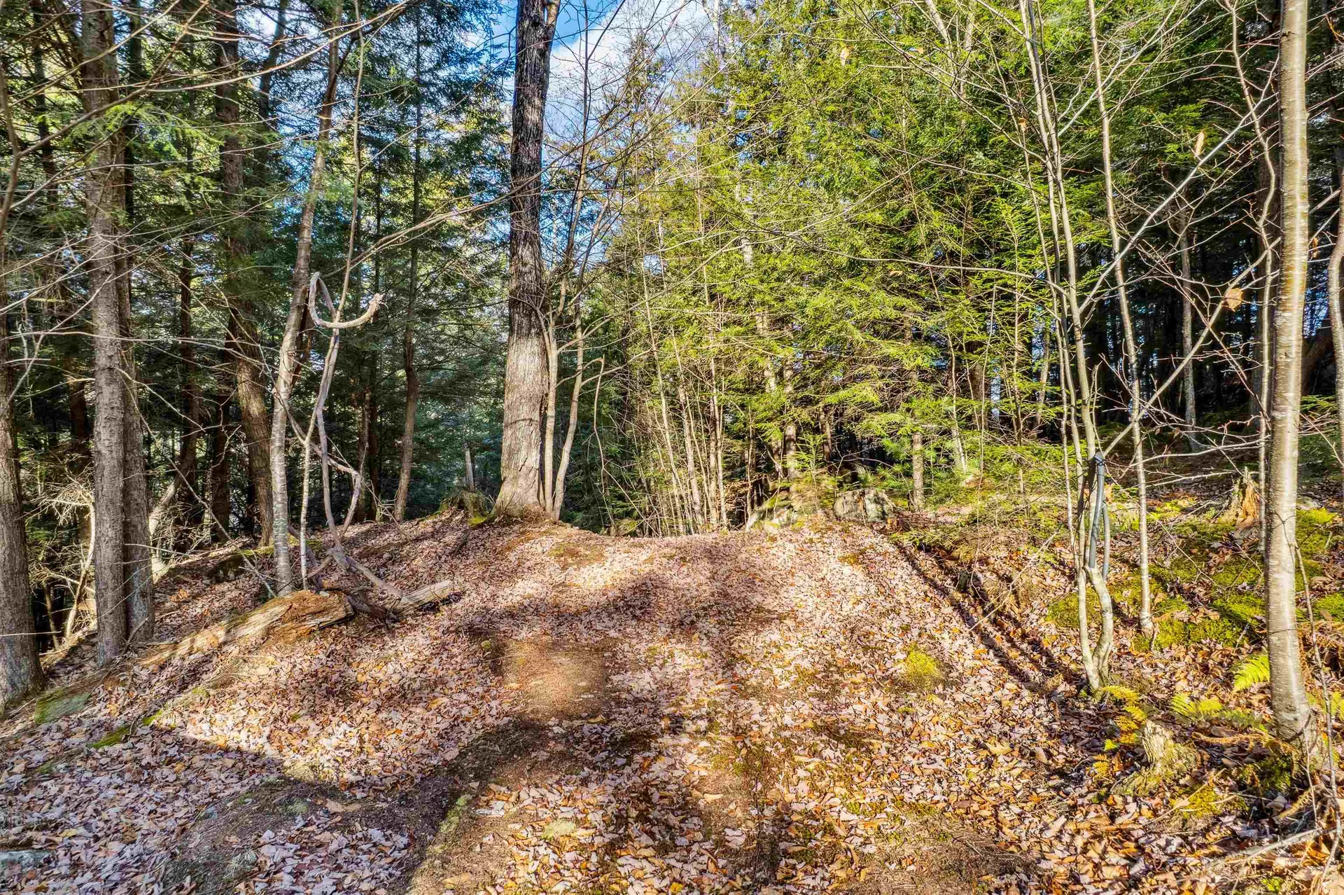 664 Spencer Hollow Road Springfield VT 05156