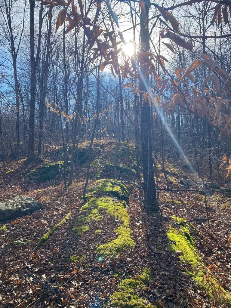 1096 Betts Bridge Road Pawlet VT 05775