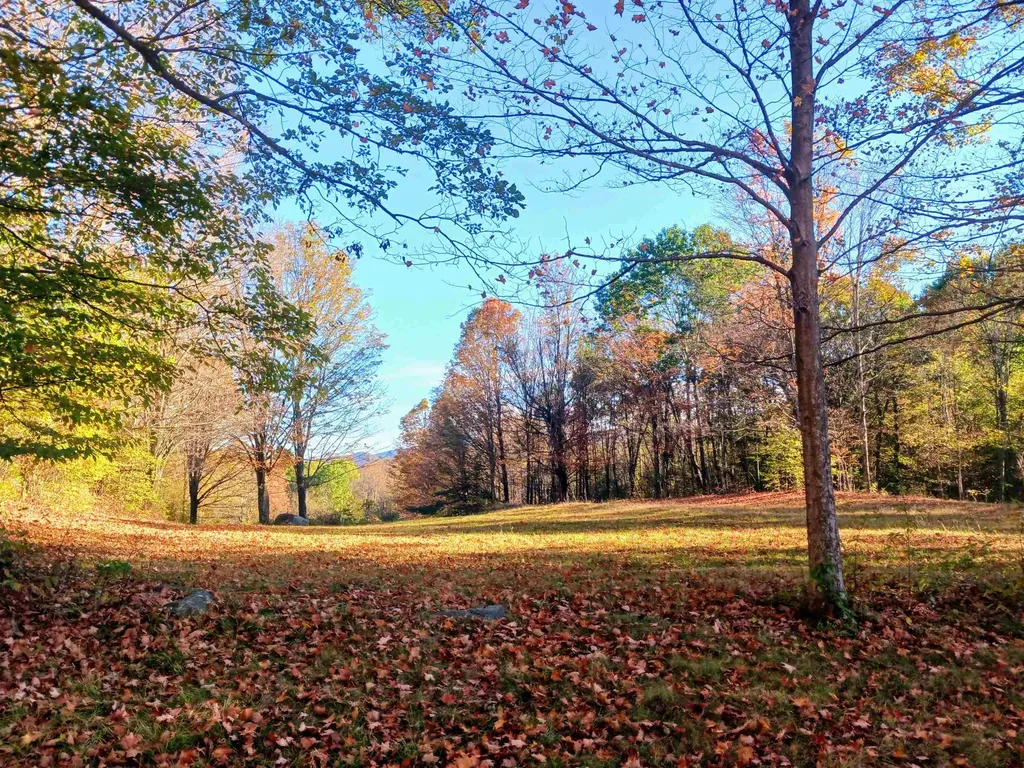 1096 Betts Bridge Road Pawlet VT 05775