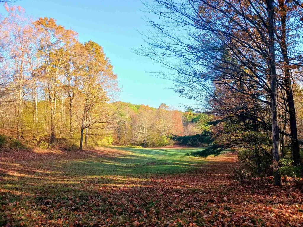 1096 Betts Bridge Road Pawlet VT 05775