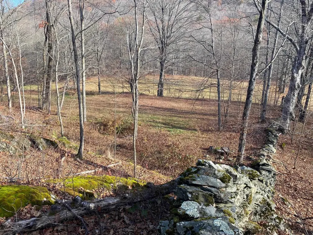 1096 Betts Bridge Road Pawlet VT 05775