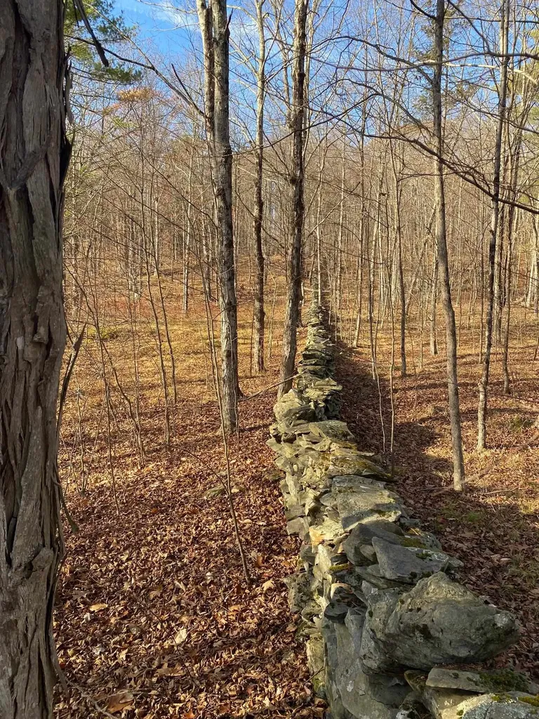 1096 Betts Bridge Road Pawlet VT 05775