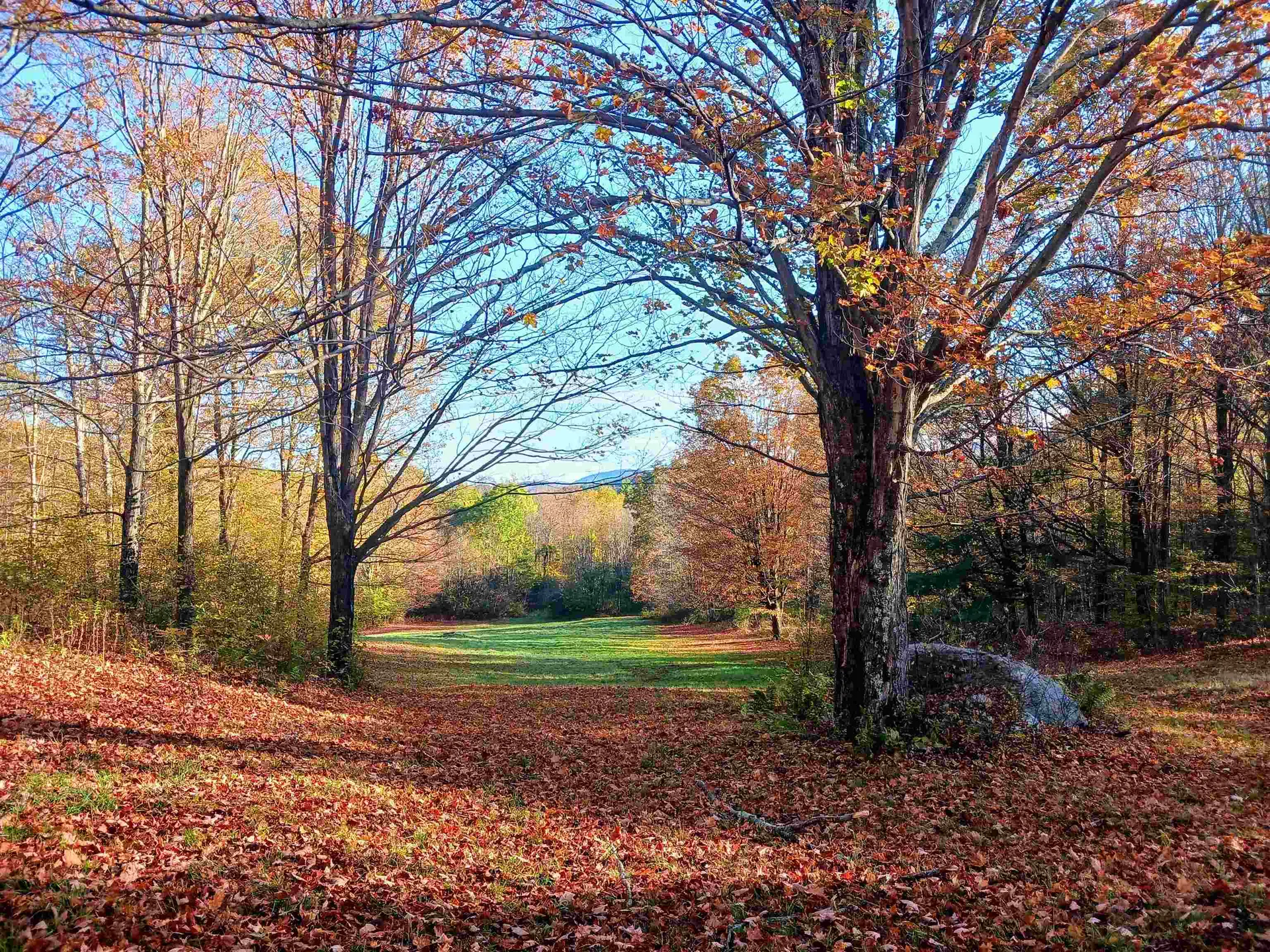 Pawlet VT, 1096 Betts Bridge Road