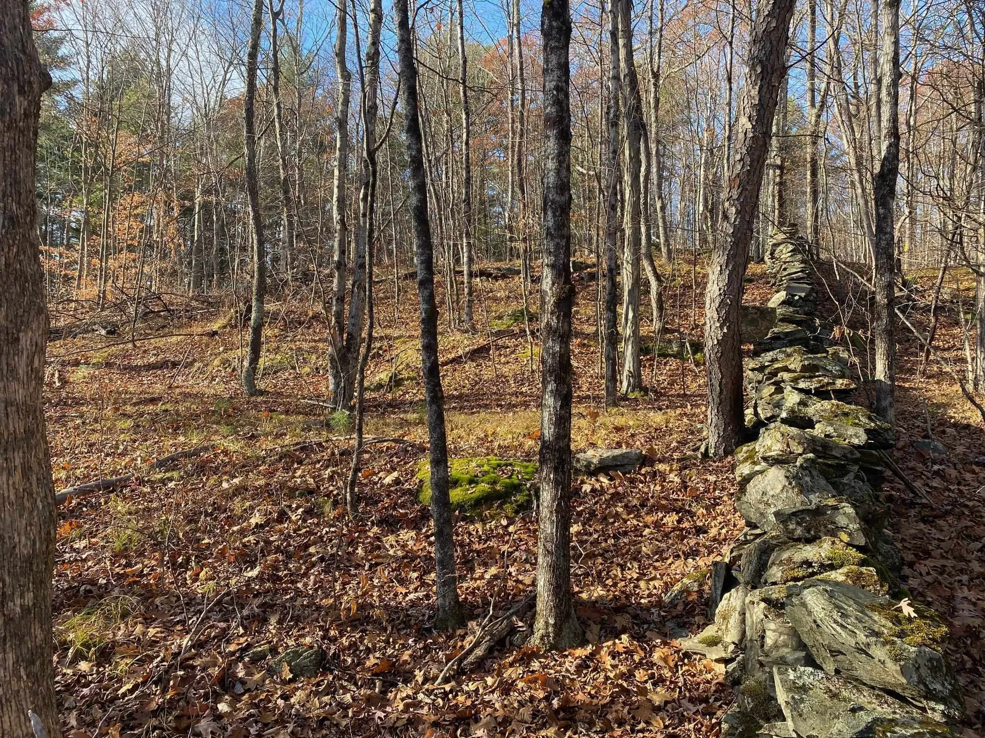 1096 Betts Bridge Road Pawlet VT 05775