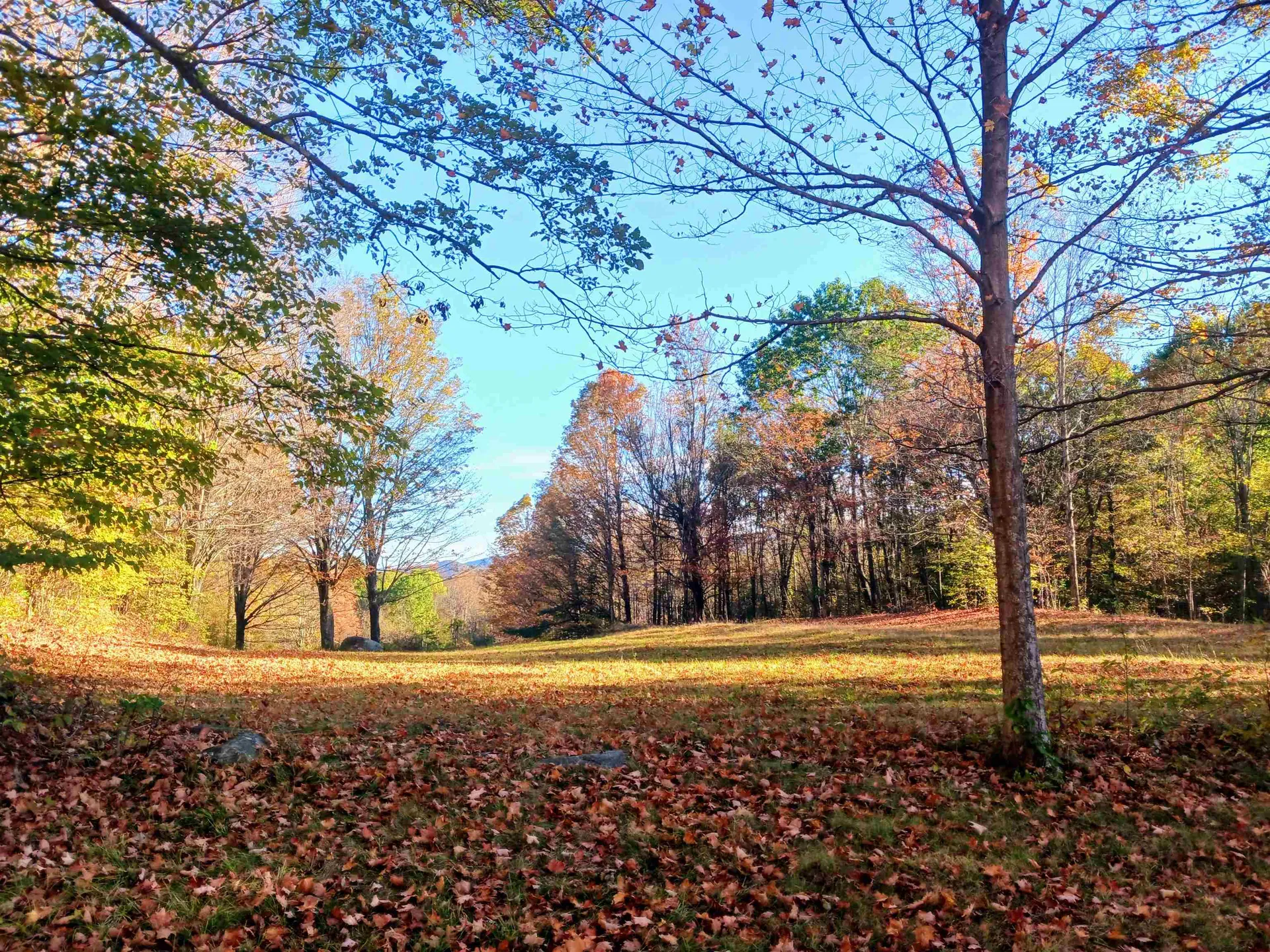 1096 Betts Bridge Road Pawlet VT 05775