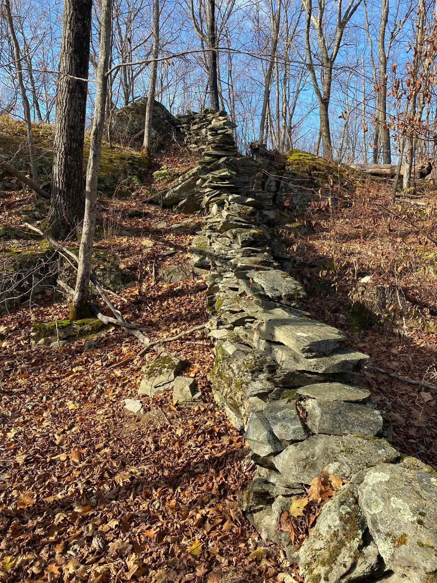 1096 Betts Bridge Road Pawlet VT 05775