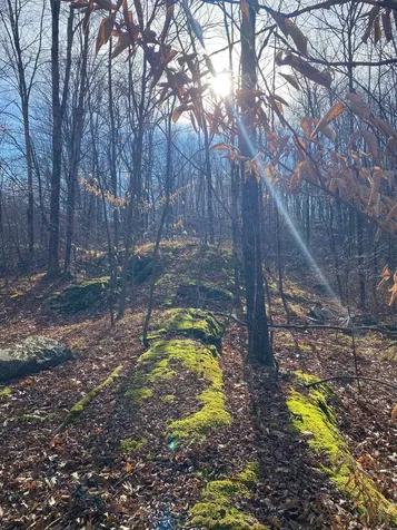 1096 Betts Bridge Road Pawlet VT 05775