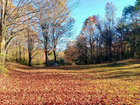 1096 Betts Bridge Road Pawlet VT 05775