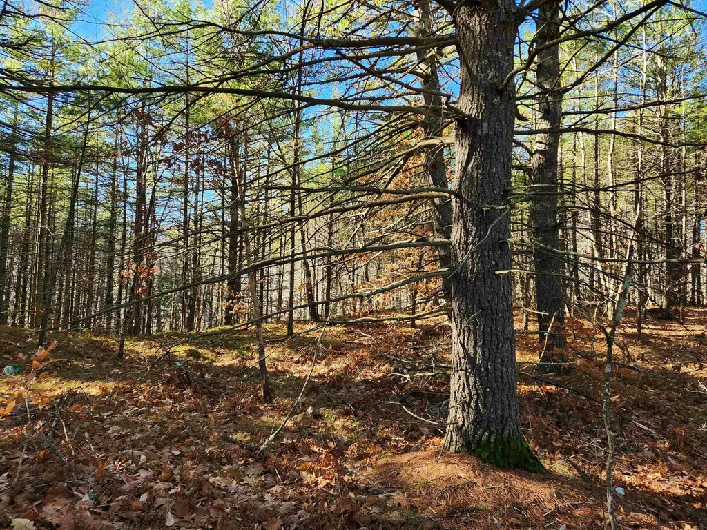 18 White Mountain Highway Wakefield NH 03872