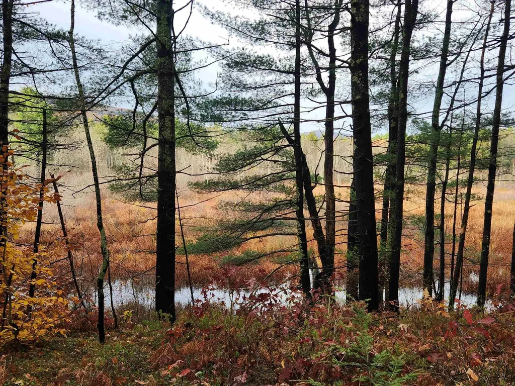 18 White Mountain Highway Wakefield NH 03872