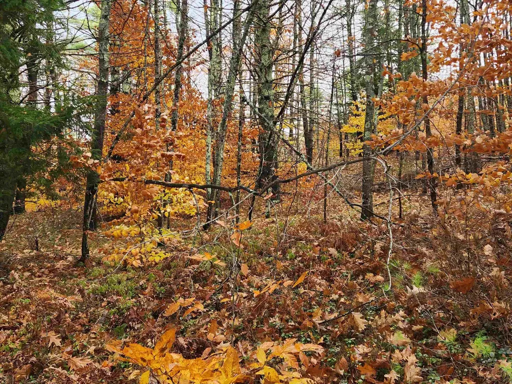 18 White Mountain Highway Wakefield NH 03872