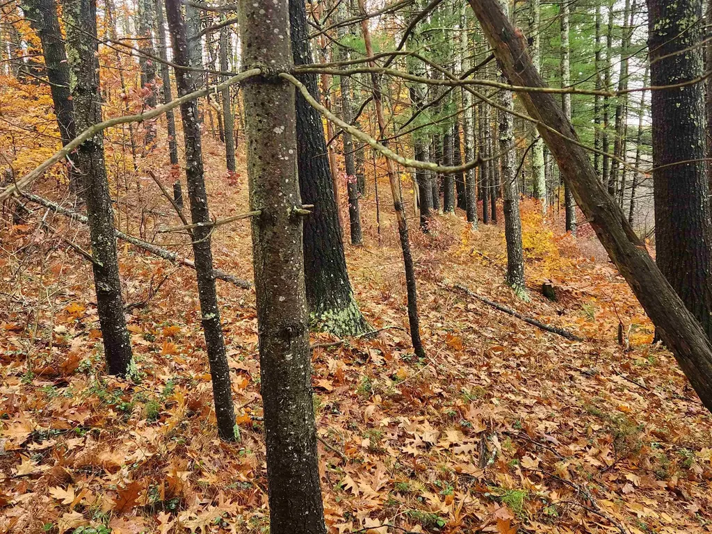 18 White Mountain Highway Wakefield NH 03872