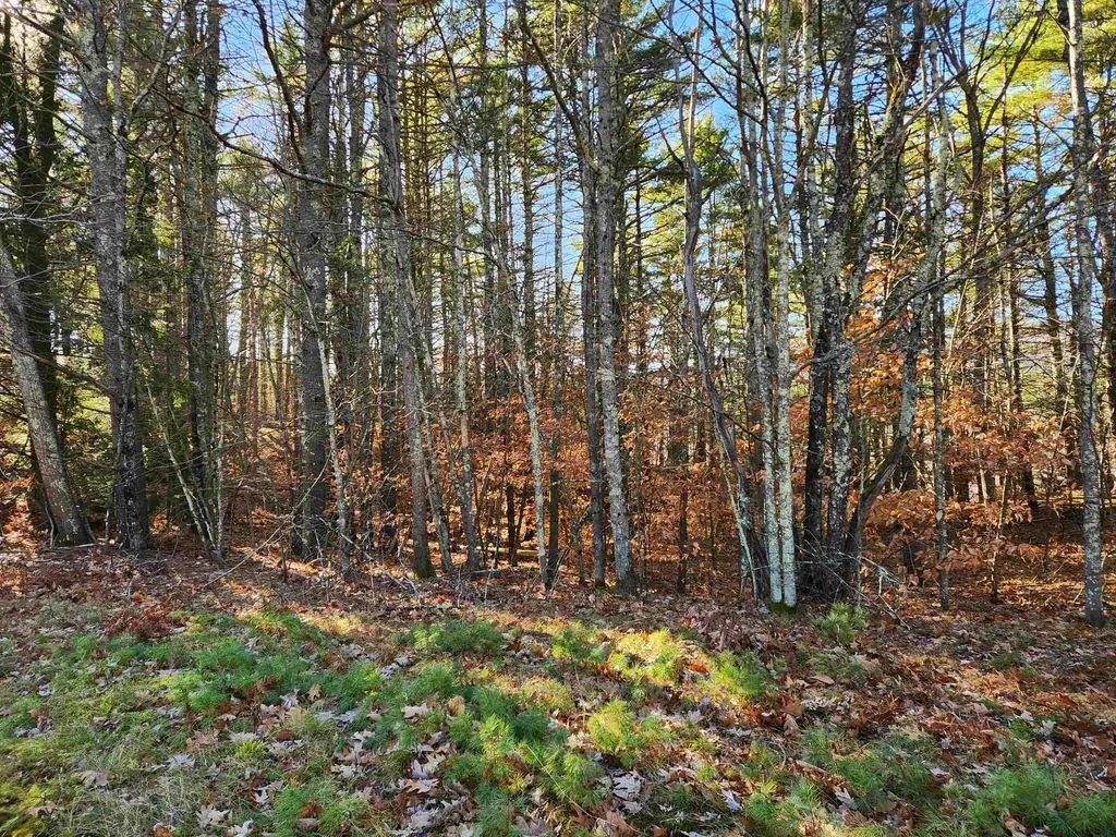 18 White Mountain Highway Wakefield NH 03872