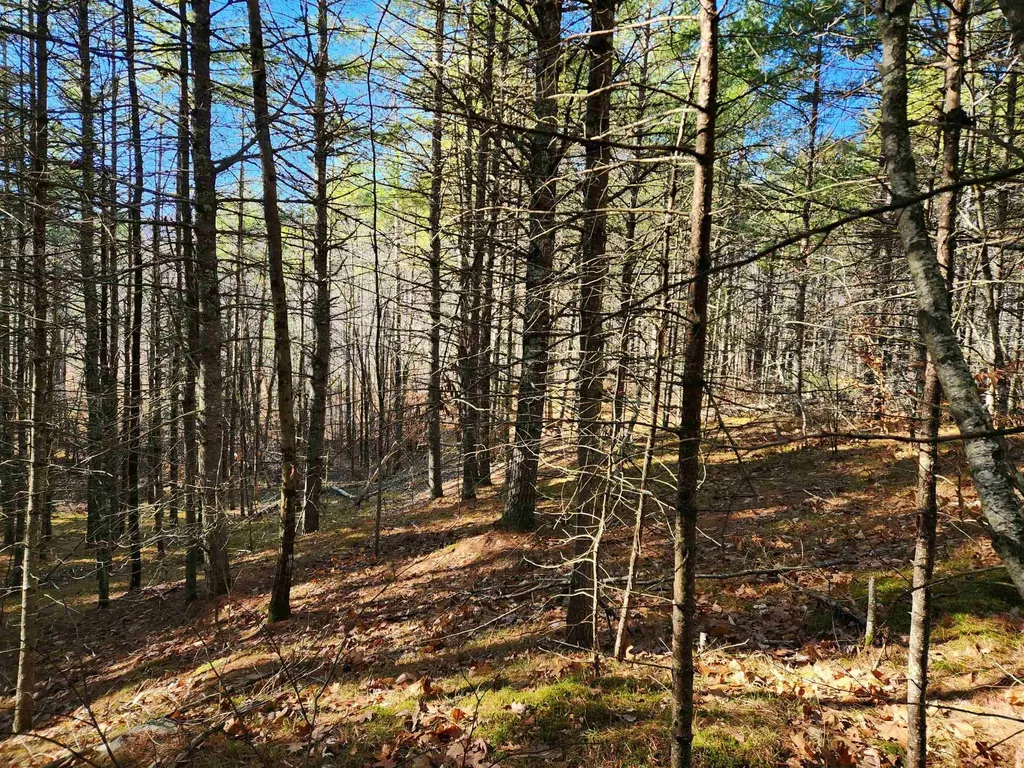 18 White Mountain Highway Wakefield NH 03872