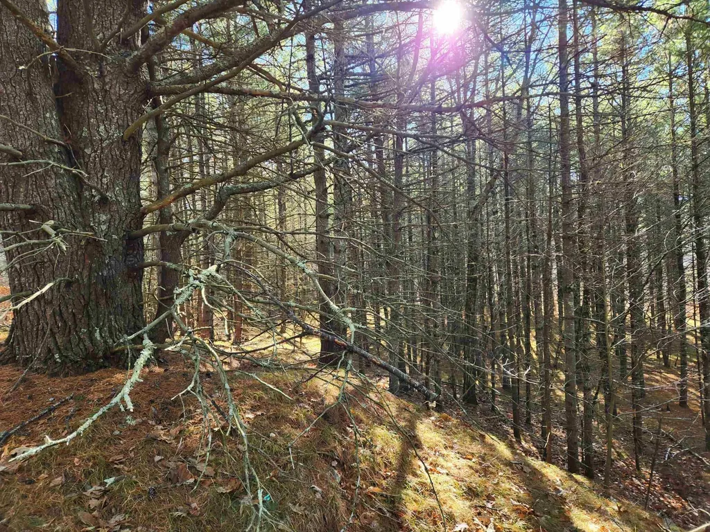 18 White Mountain Highway Wakefield NH 03872