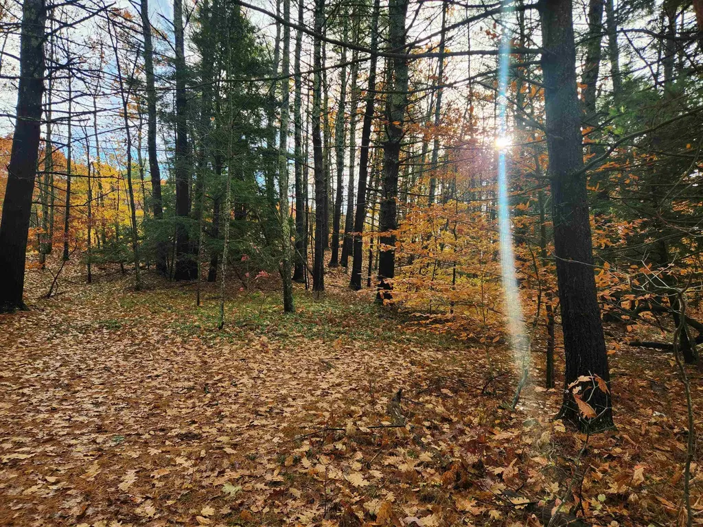 18 White Mountain Highway Wakefield NH 03872