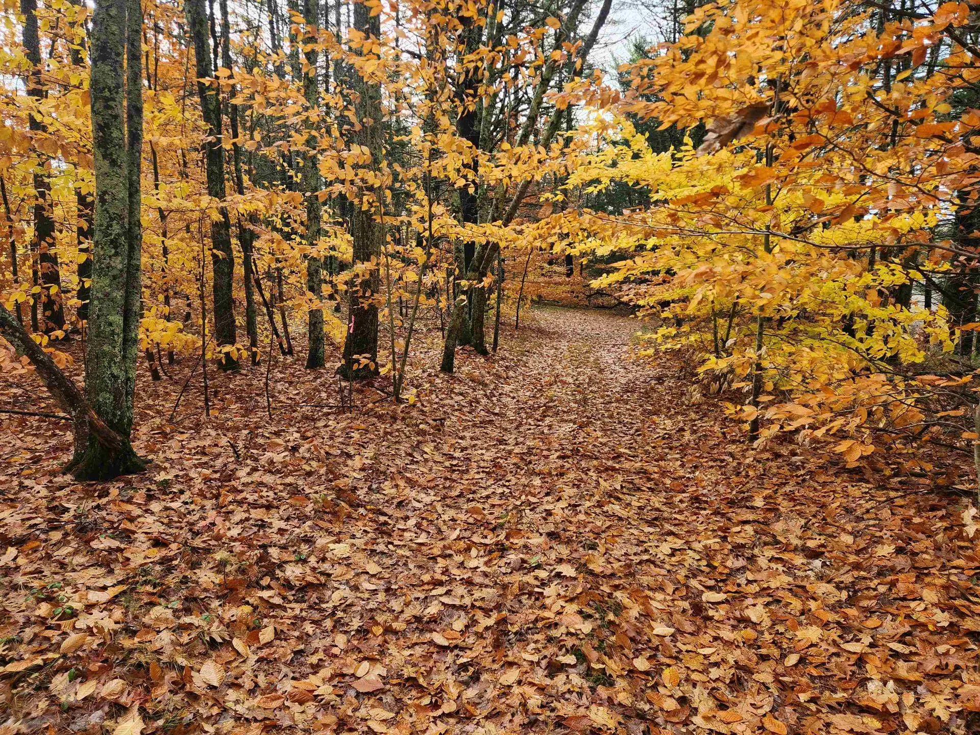 18 White Mountain Highway Wakefield NH 03872