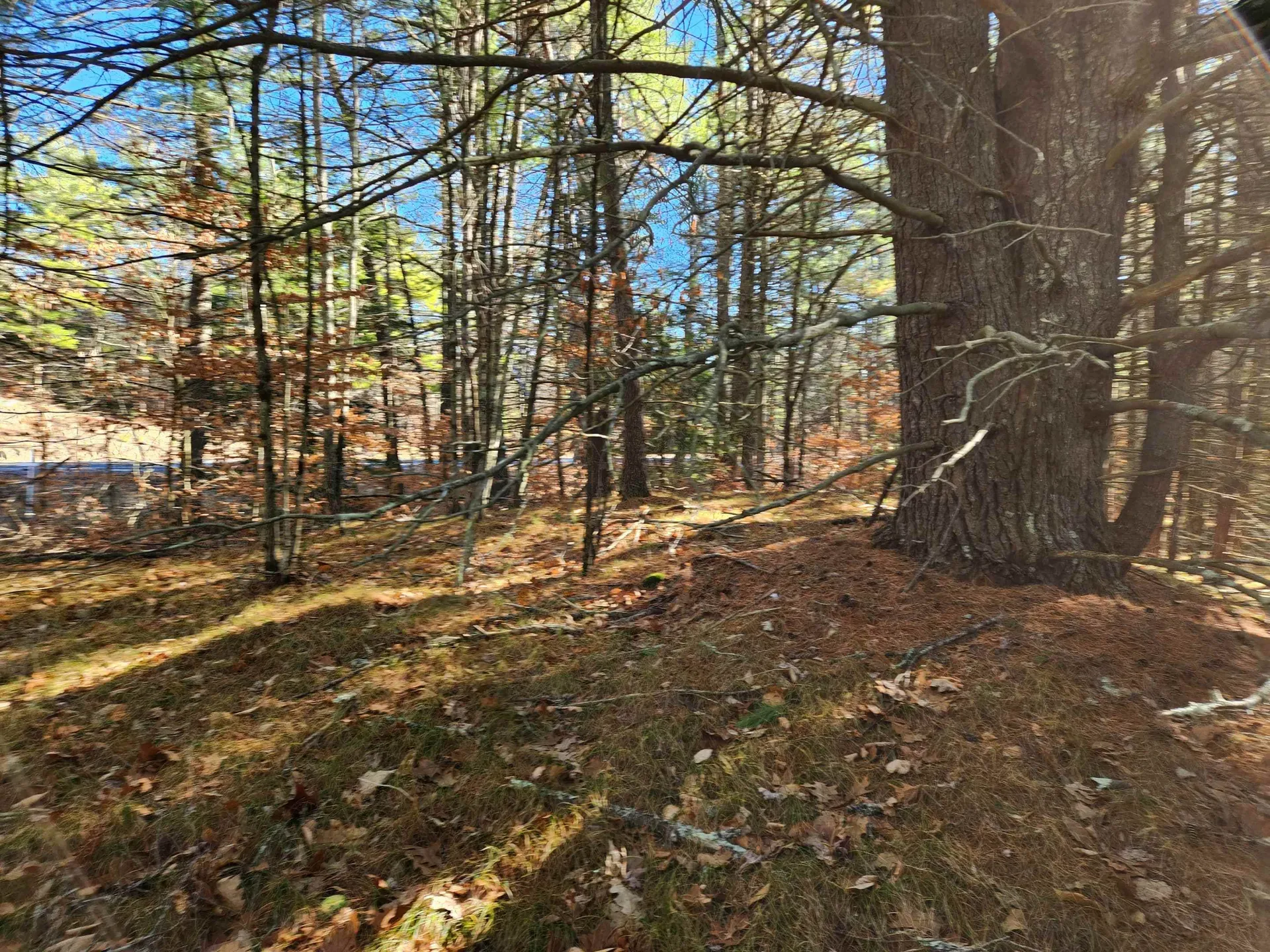 18 White Mountain Highway Wakefield NH 03872