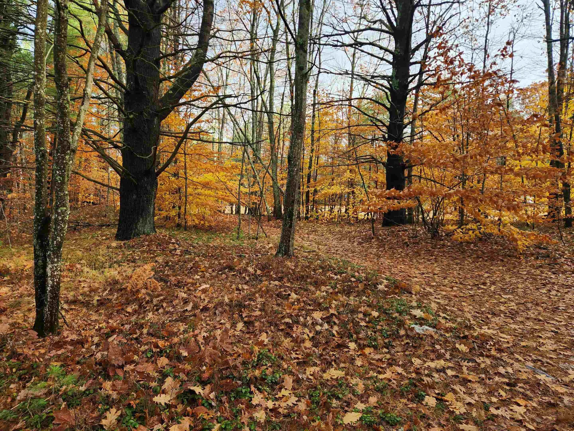 18 White Mountain Highway Wakefield NH 03872