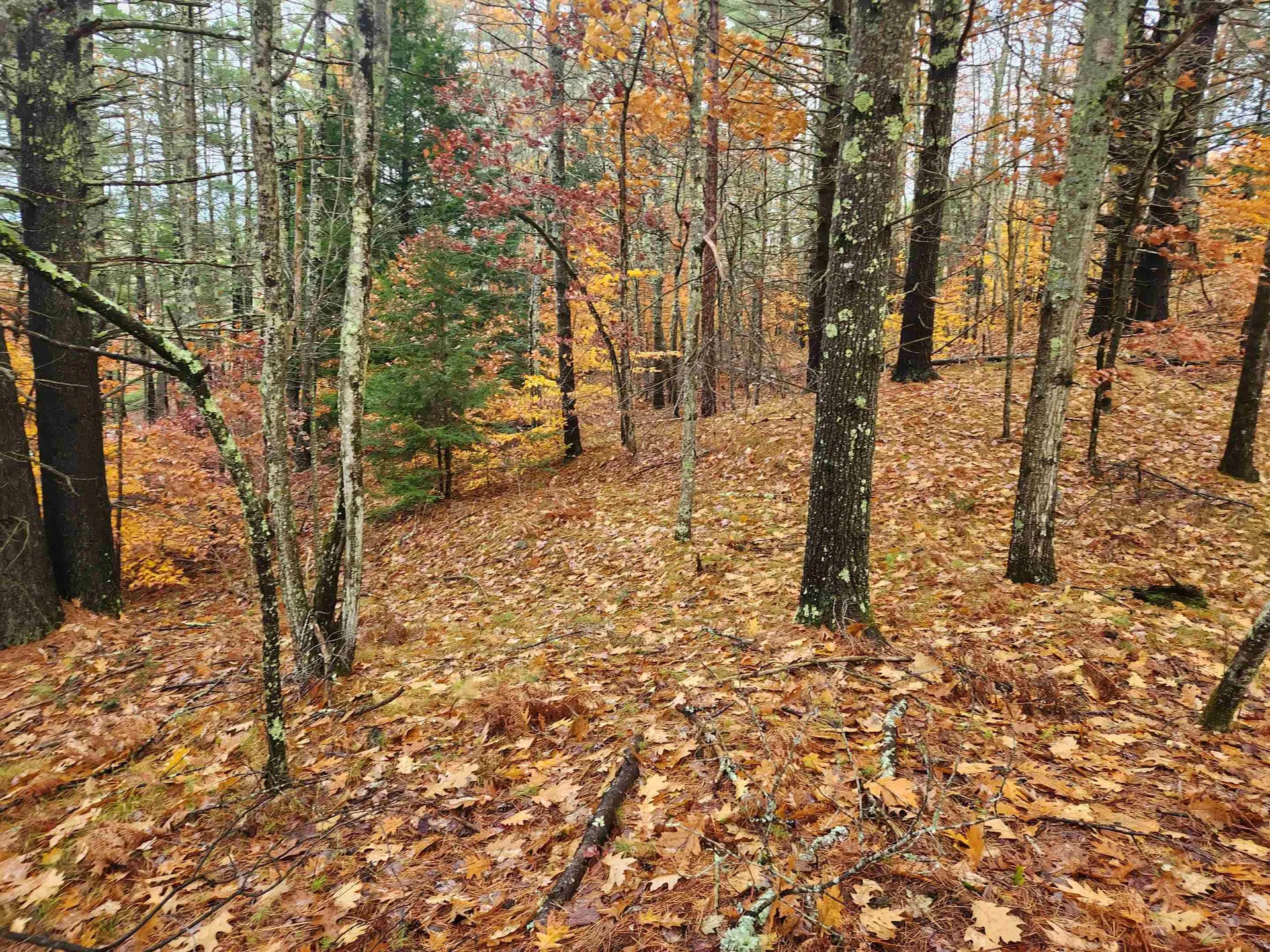 18 White Mountain Highway Wakefield NH 03872