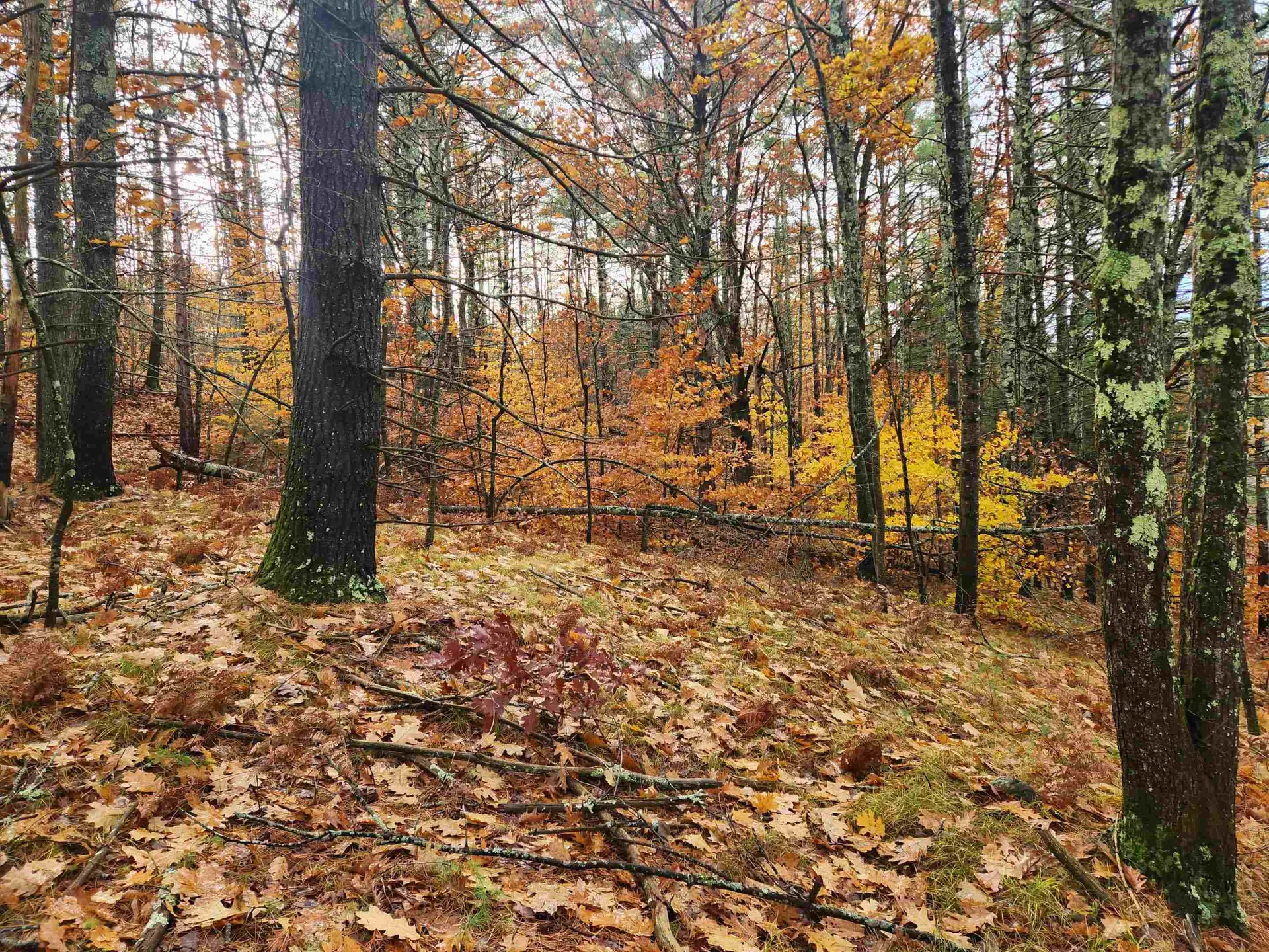 18 White Mountain Highway Wakefield NH 03872