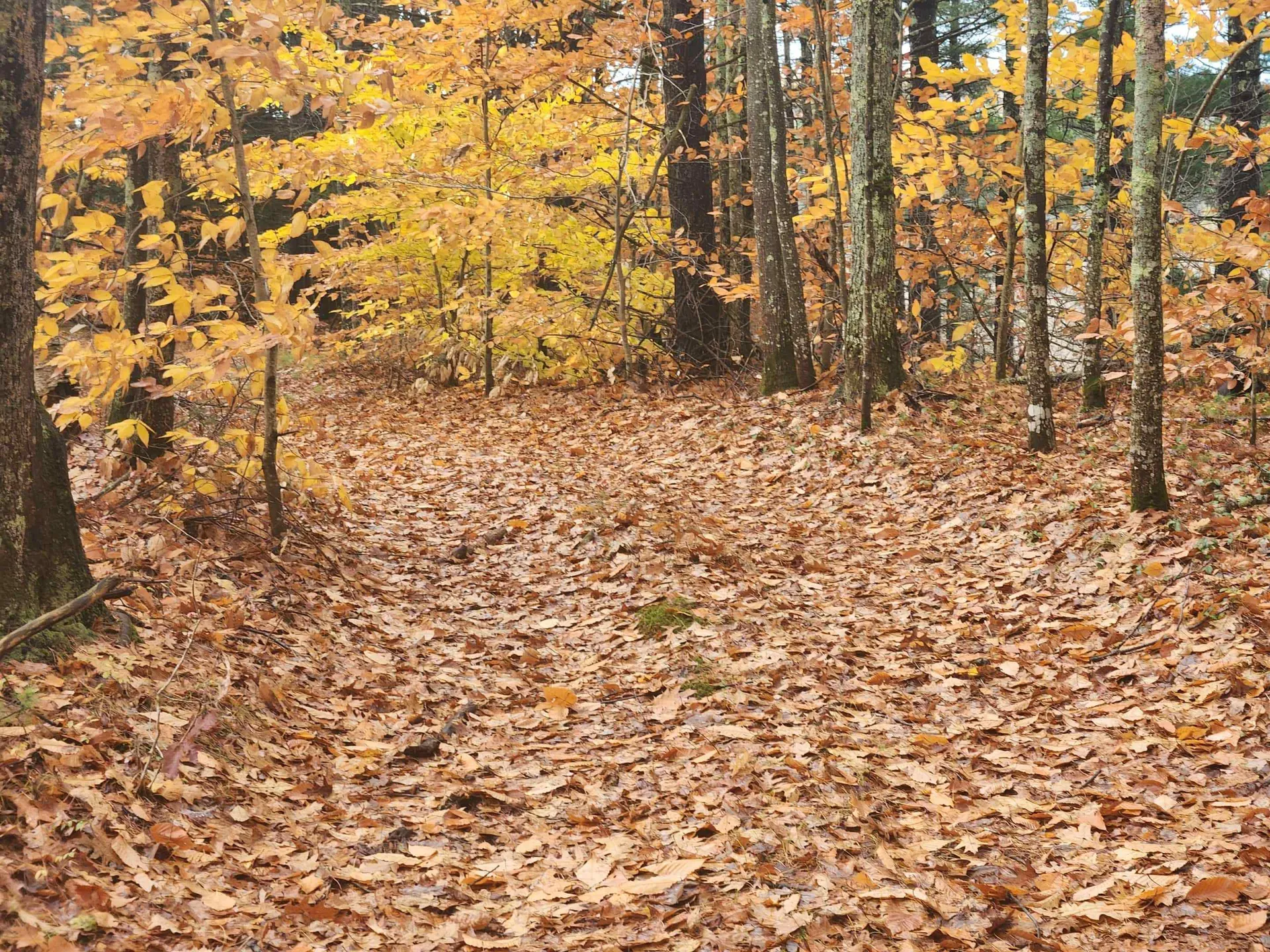 18 White Mountain Highway Wakefield NH 03872