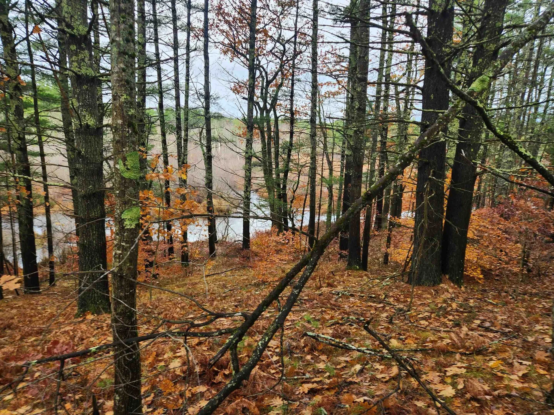 18 White Mountain Highway Wakefield NH 03872