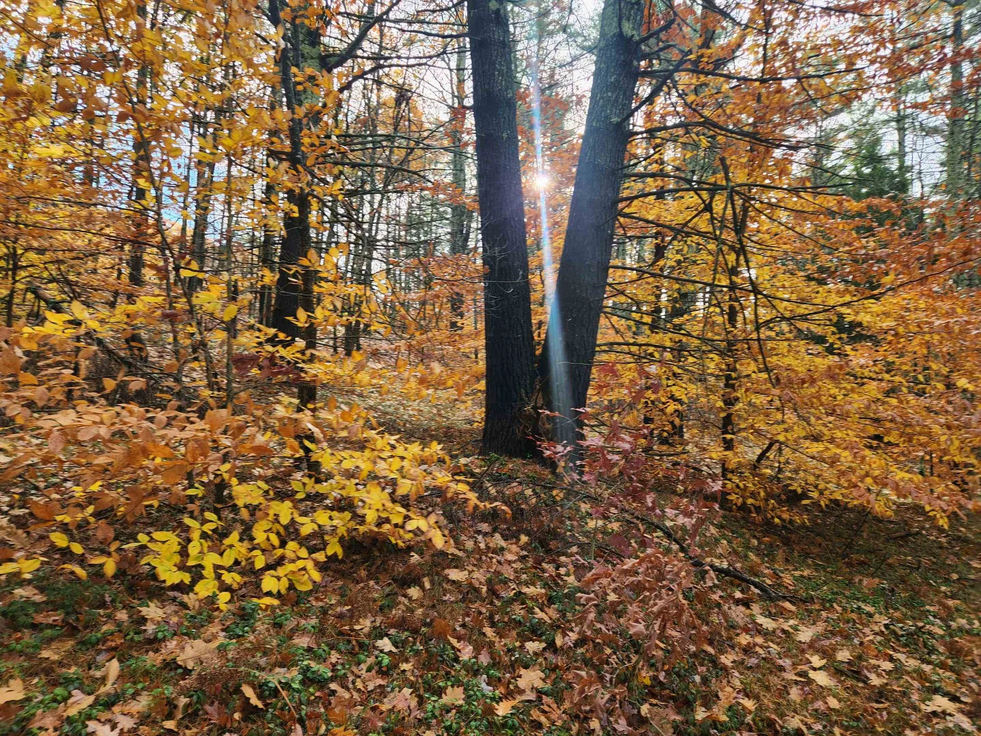 18 White Mountain Highway Wakefield NH 03872