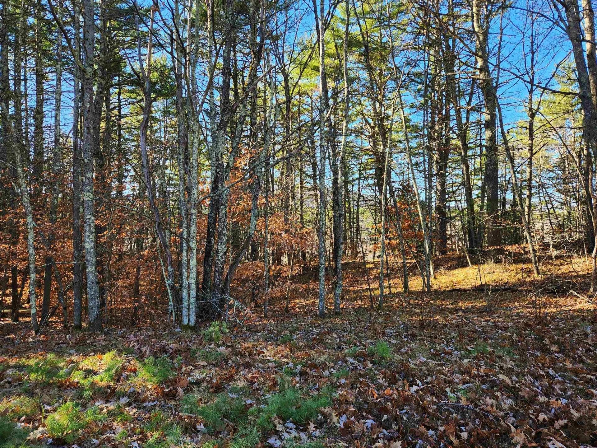 18 White Mountain Highway Wakefield NH 03872