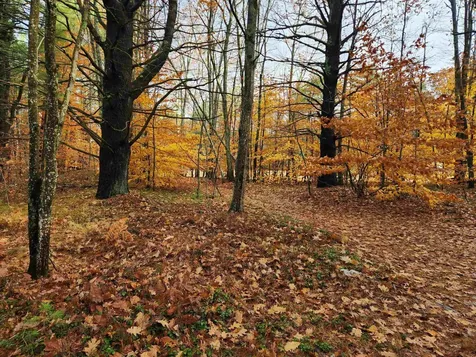 18 White Mountain Highway Wakefield NH 03872