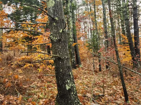 18 White Mountain Highway Wakefield NH 03872