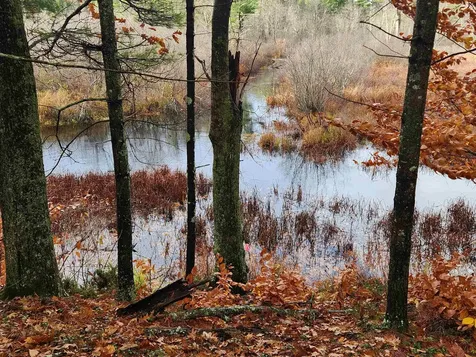 18 White Mountain Highway Wakefield NH 03872