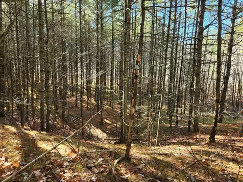 18 White Mountain Highway Wakefield NH 03872