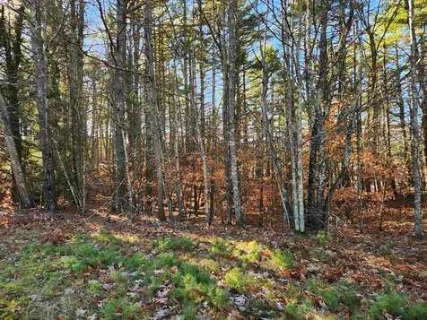 18 White Mountain Highway Wakefield NH 03872