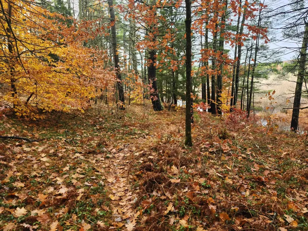 19 White Mountain Highway Wakefield NH 03872