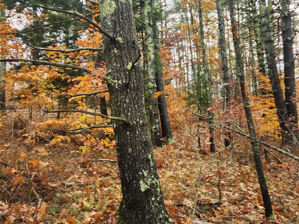 19 White Mountain Highway Wakefield NH 03872