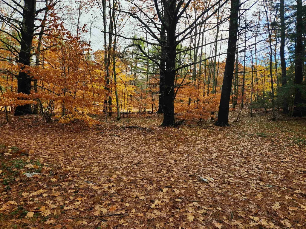 19 White Mountain Highway Wakefield NH 03872