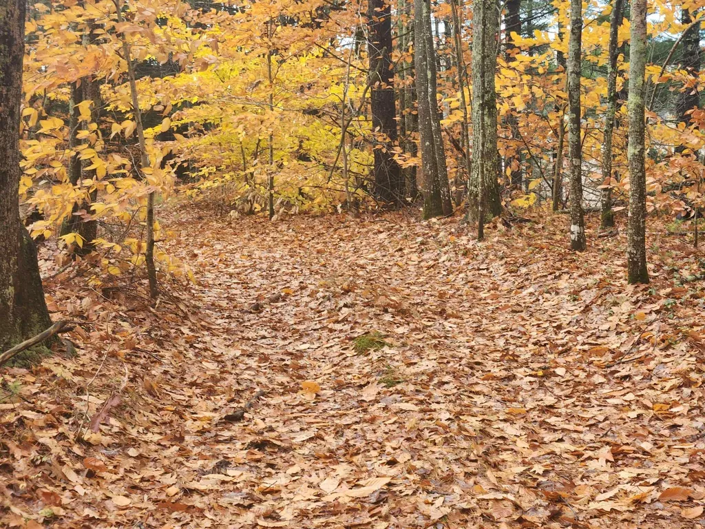 19 White Mountain Highway Wakefield NH 03872