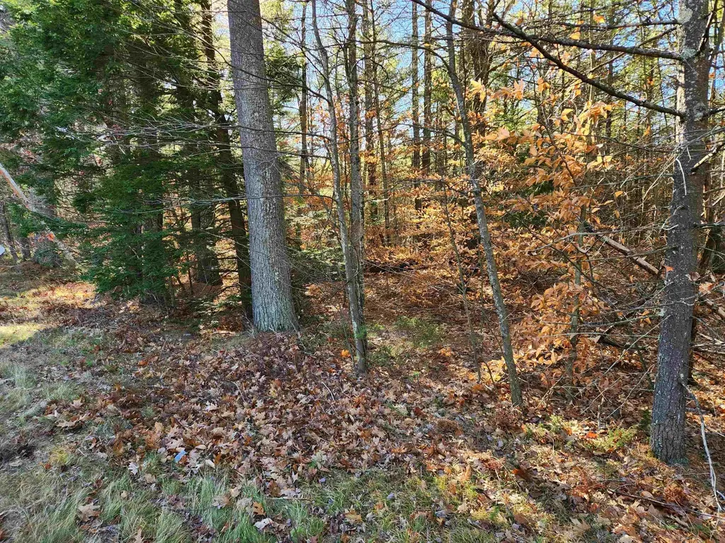 19 White Mountain Highway Wakefield NH 03872