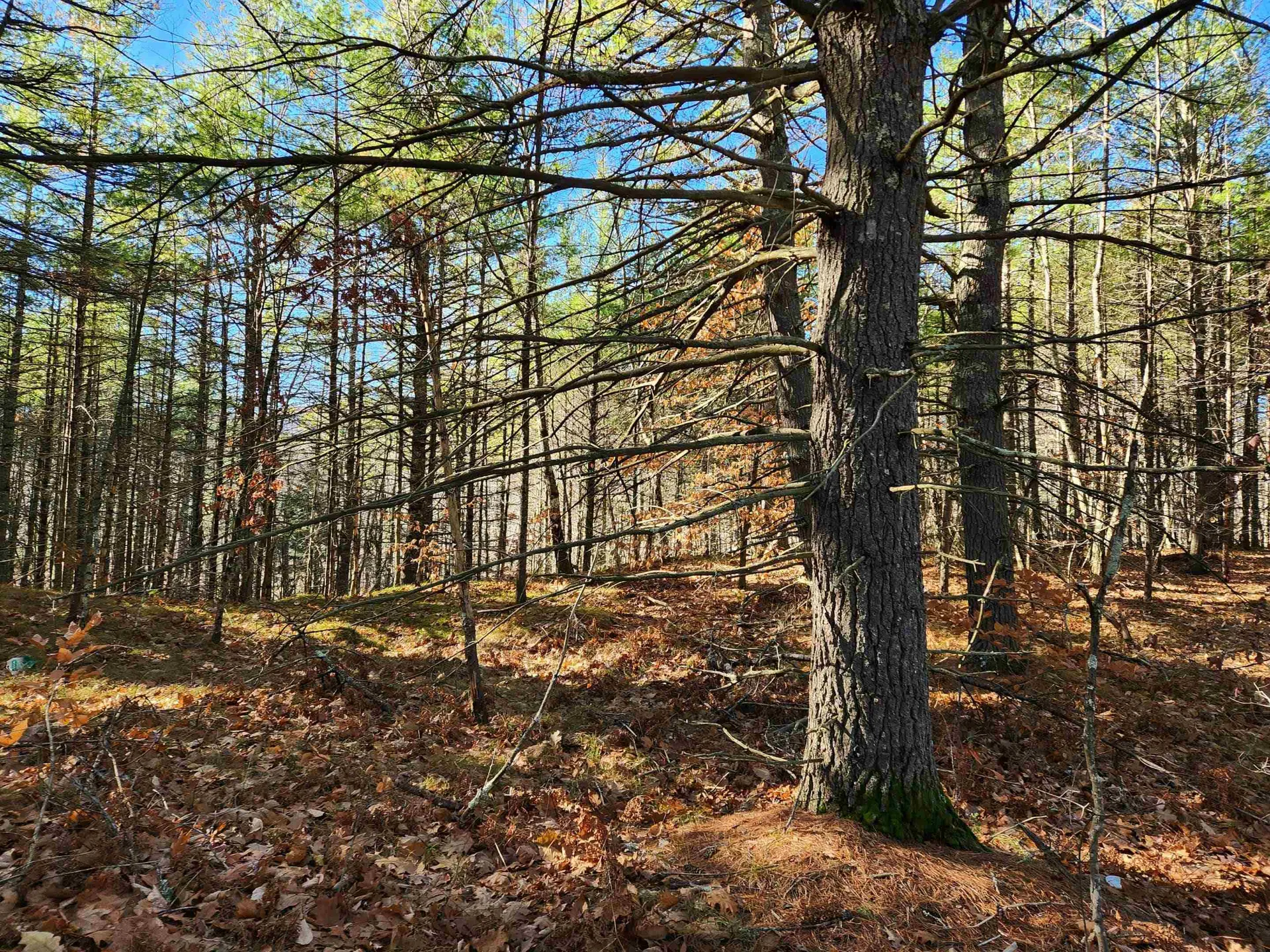 19 White Mountain Highway Wakefield NH 03872